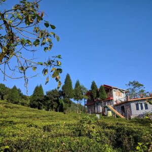 Maldiram Kanchenjunga view Homestay Kurseong - Ecstatic Explorers